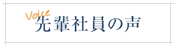 先輩社員の声